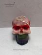 Calling Your Mind Rose Skull/Calavera De Rosas Llamandote La Mente